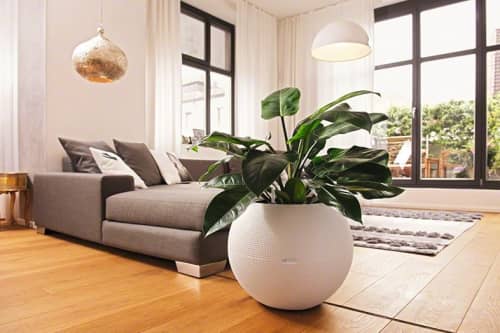 Купить Кашпо Lechuza Puro Color 50 см по низкой цене