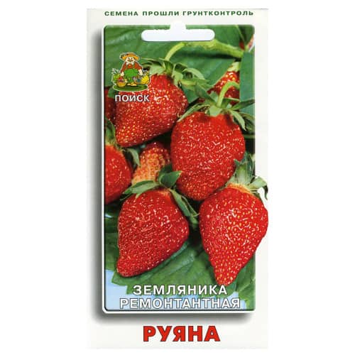 Купить Земляника Ремонтантная Руяна 100 шт по низкой цене