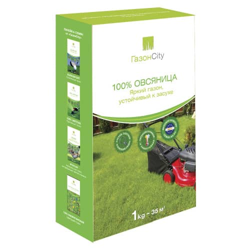 Купить Семена газонной травы «Овсяница 100%» 1 кг по низкой цене