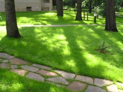 Купить Газон Газонные традиции универсальный рулонный 2 м по низкой цене