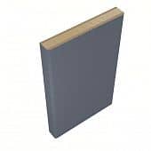 Купить Добор Belwooddoors дверной Антрацит фанерованный 2200х100 мм по низкой цене