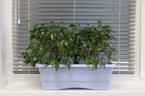 Купить Ящик ГарденПласт №1 балконный для цветов 6 л по низкой цене