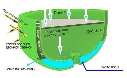 Купить Вазон BOXSAND Половинка для вертикального озеленения 630 мм по низкой цене