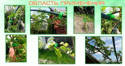 Купить Клипсы ГарденПласт для крепления растений 100 шт по низкой цене