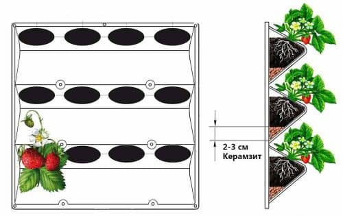 Купить Вертикальная грядка BOXSAND для клубники 60х60 см по низкой цене