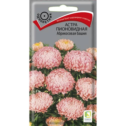 Купить Астра пионовидная Абрикосовая башня по низкой цене