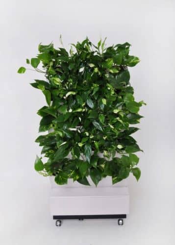 Купить Вертикальный сад BOXSAND 20А с капельным автополивом 115 см по низкой цене