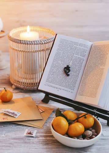 Купить Подставка Esschert Design для поварской книги по низкой цене