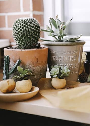 Купить Кашпо из терракоты, M Indoor Pots Collection Burgon & Ball по низкой цене