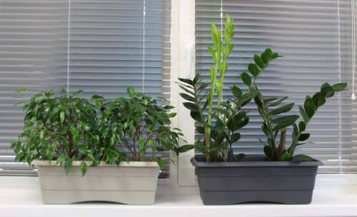 Купить Ящик ГарденПласт №1 балконный для цветов 6 л по низкой цене