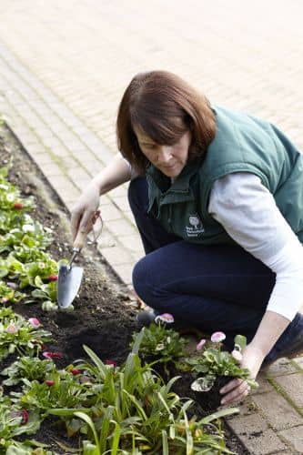 Купить Совок Burgon & Ball садовый, 30 см по низкой цене