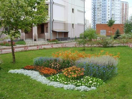 Купить Клумба садовая Коралловые фантазии миксбордер (готовое решение) по низкой цене