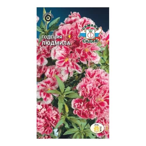 Купить Годеция Людмила 0,1 г Седек по низкой цене