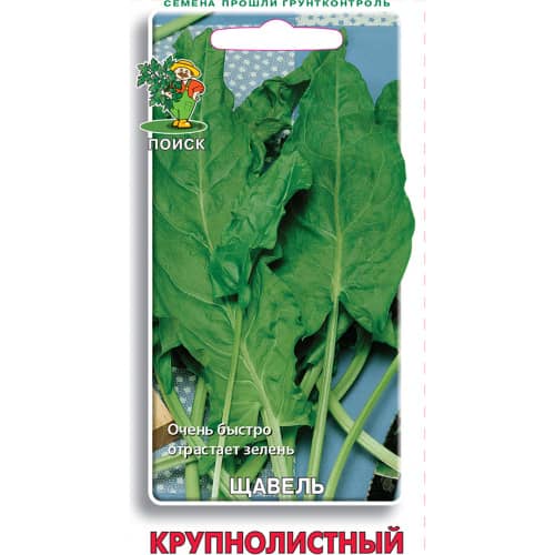 Купить Щавель Крупнолистный по низкой цене
