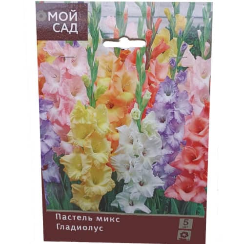 Купить Гладиолус Пастель Микс 10/12, 5 по низкой цене