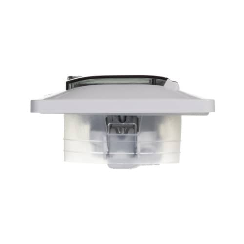 Купить Розетка Schneider Electric Глосса с крышкой с заземлением белая по низкой цене