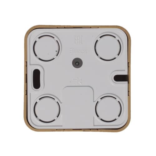 Купить Розетка компьютерная Schneider Electric Бланка ясень по низкой цене