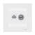 Купить Розетка компьютерная + телевизионная Schneider Electric Атлас Дизайн без рамки белая по низкой цене