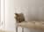 Купить Плитка Kerama Marazzi Ауленсия 6389 керамическая, панель, серый 25х40 см по низкой цене
