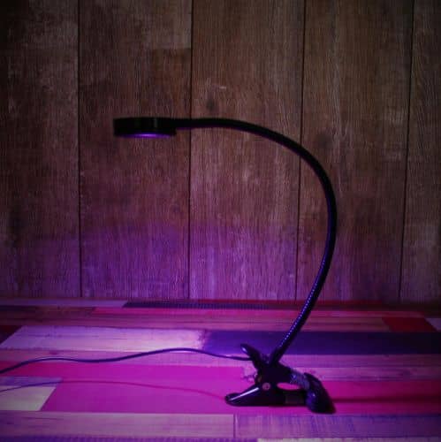 Купить Фитосветильник Luxury Plants LED светодиодный, 6 Вт по низкой цене