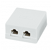 Купить Розетка TDM Electric внешняя, компьютерная RJ-45, 2 гнезда, 8Р-8С, белая по низкой цене