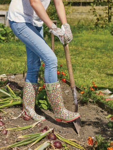 Купить Сапоги Briers Orangery резиновые по низкой цене