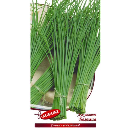 Купить Лук шнитт Богемия 0,5 г по низкой цене