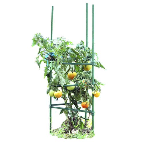 Купить Поддержка для растений 150 см по низкой цене