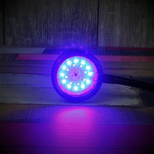 Купить Фитосветильник Luxury Plants LED светодиодный, 6 Вт по низкой цене