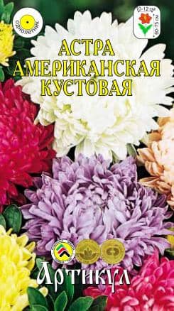 Купить Семена Астра Американская Кустовая по низкой цене