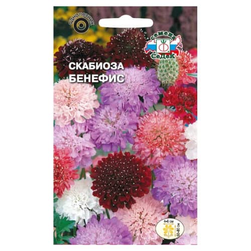 Купить Скабиоза Бенефис 0,3 г Седек по низкой цене
