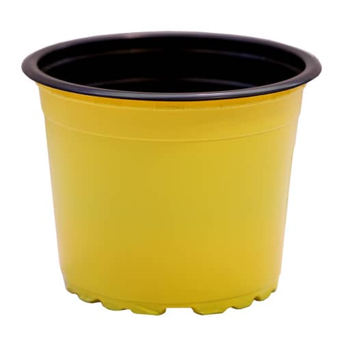 Купить Горшок пластиковый технологический микс d9 см 0,29 л по низкой цене