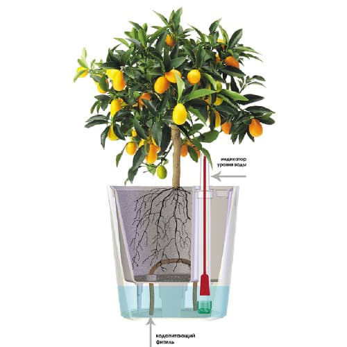 Купить Горшок пластиковый с автополивом d26 см 6 л по низкой цене