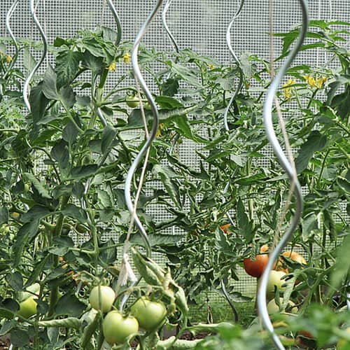 Купить Поддержка для растений Спираль d6 мм высота 100 см по низкой цене