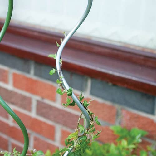 Купить Поддержка для растений Спираль d6 мм высота 140 см по низкой цене