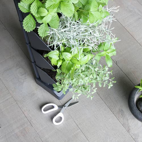 Купить Система Вертикальный Сад мини по низкой цене