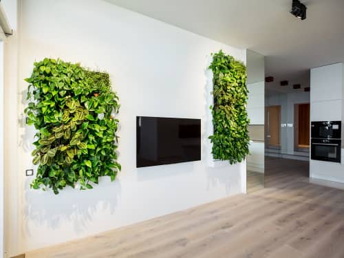 Купить Система Вертикальный Сад мини по низкой цене