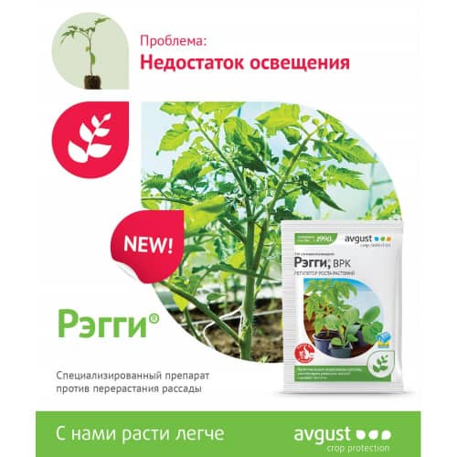 Купить Регулятор роста растений Рэгги Avgust 1 мл по низкой цене