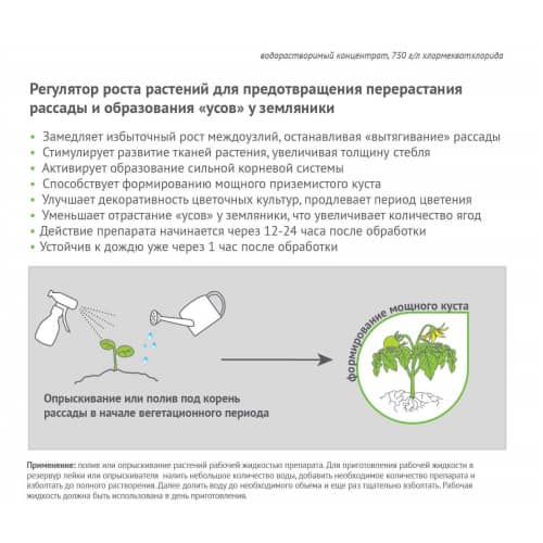 Купить Регулятор роста растений Рэгги Avgust 1 мл по низкой цене
