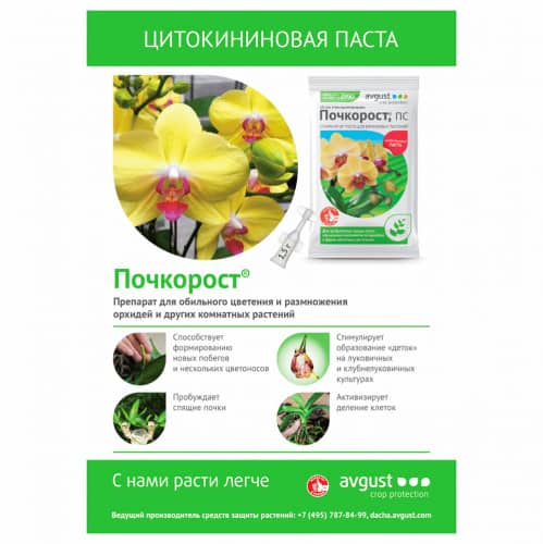 Купить Препарат на основе цитокининовой пасты Почкорост, 1,5 г по низкой цене