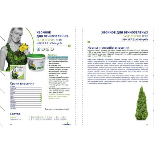 Купить Удобрение Fertika хвойное для вечнозеленых Лето 100 г по низкой цене