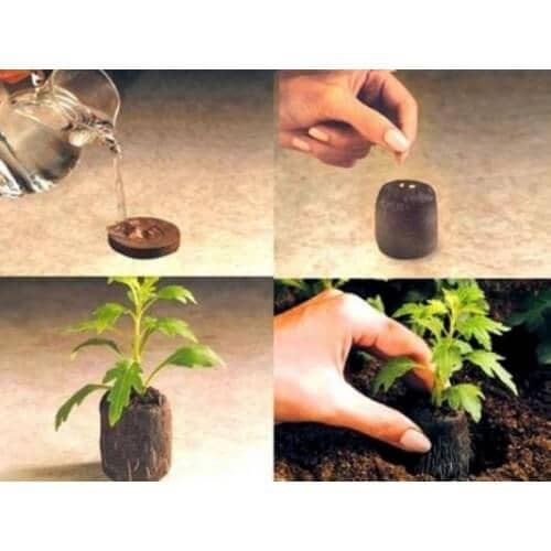 Купить Таблетка кокосовая в горшок для орхидеи PLANT!T 1,5 л по низкой цене