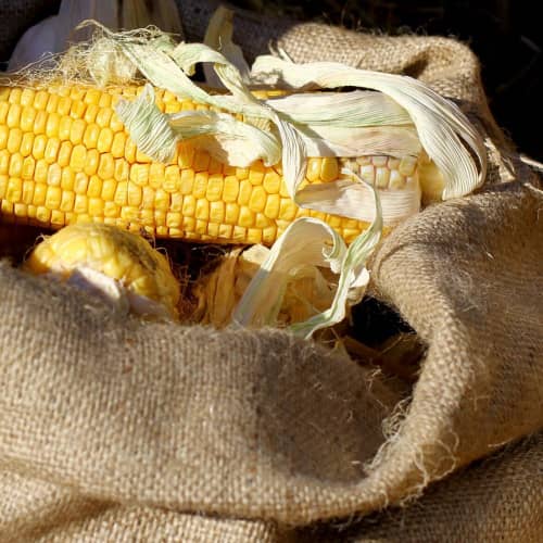 Купить Мешок джутовый 50х80 см по низкой цене