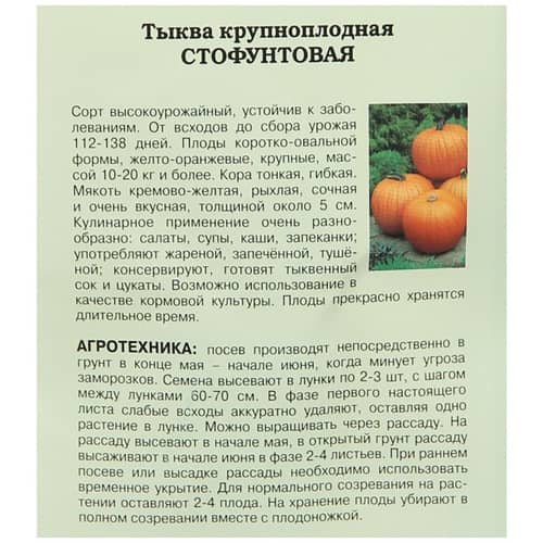 Купить Тыква крупноплодная Стофунтовая по низкой цене