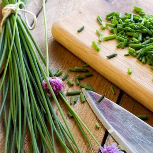 Купить Лук шнитт Мудрец по низкой цене