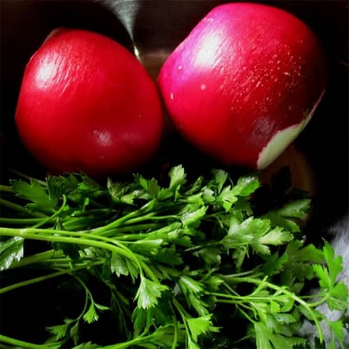 Купить Редька китайская Барыня А по низкой цене