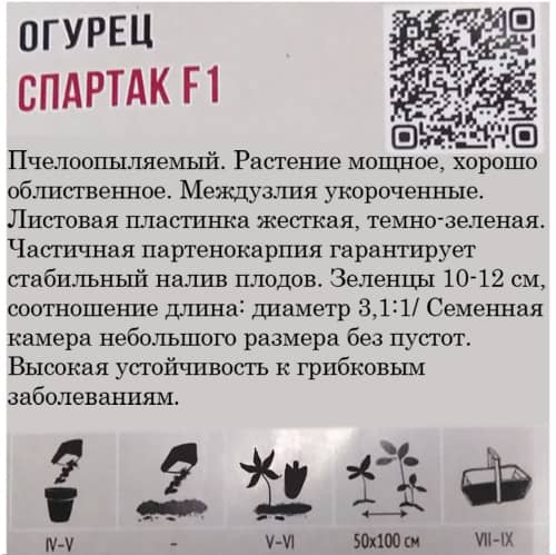 Купить Огурец СПАРТАК F1 по низкой цене