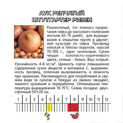 Купить Лук репчатый Штуттгартер ризен 0,5 г XS по низкой цене