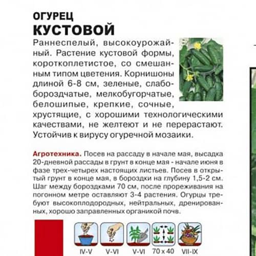 Купить Огурец Кустовой А по низкой цене