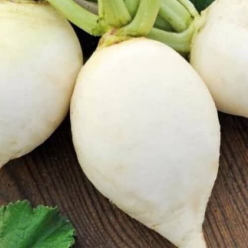 Купить Редька Мюнхен 1 г по низкой цене